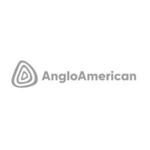 anglo-american-gray